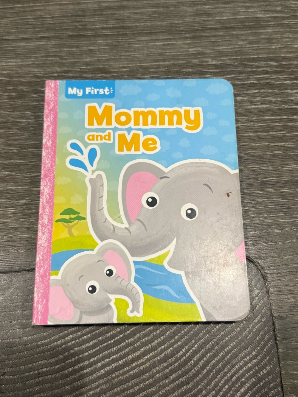 Used my first Mommy and Me Board Book